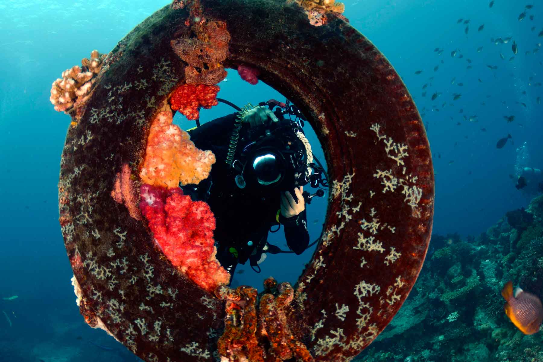 slide-image