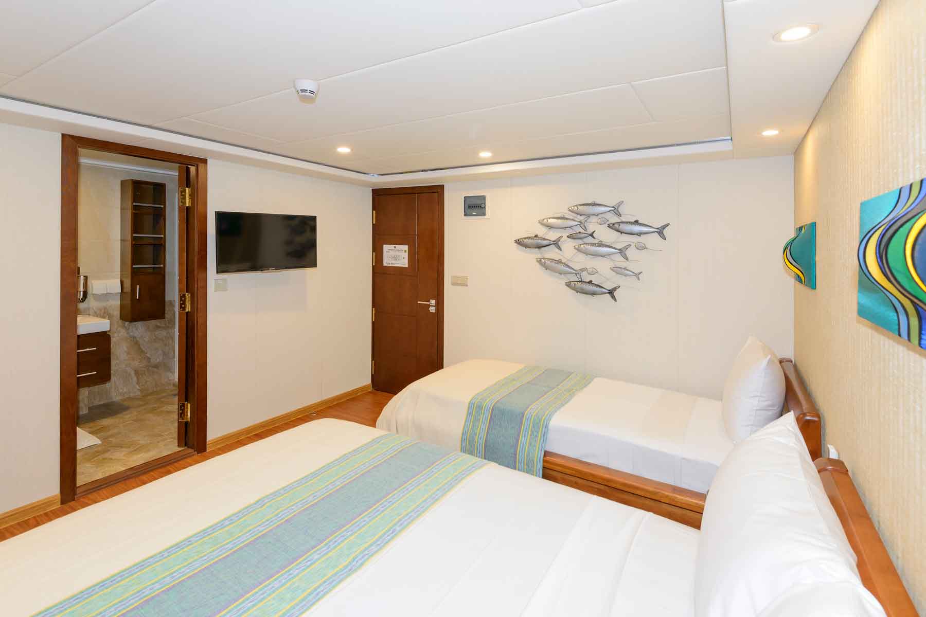 MV Carpe Novo, Liveaboard